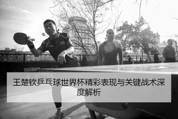 王楚钦乒乓球世界杯精彩表现与关键战术深度解析 | LEYU SPORTS