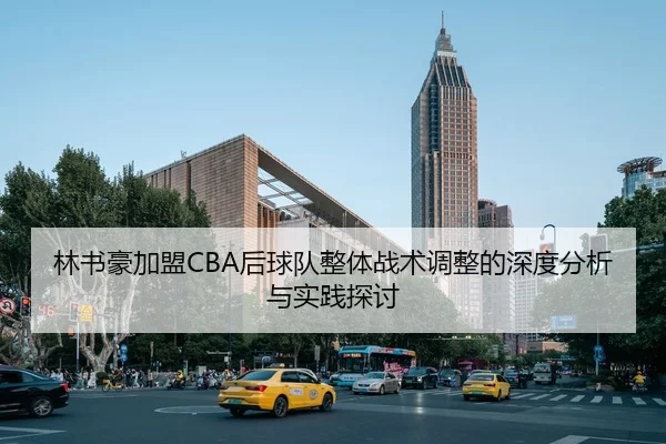 林书豪加盟CBA后球队整体战术调整的深度分析与实践探讨（LEYU SPORTS）